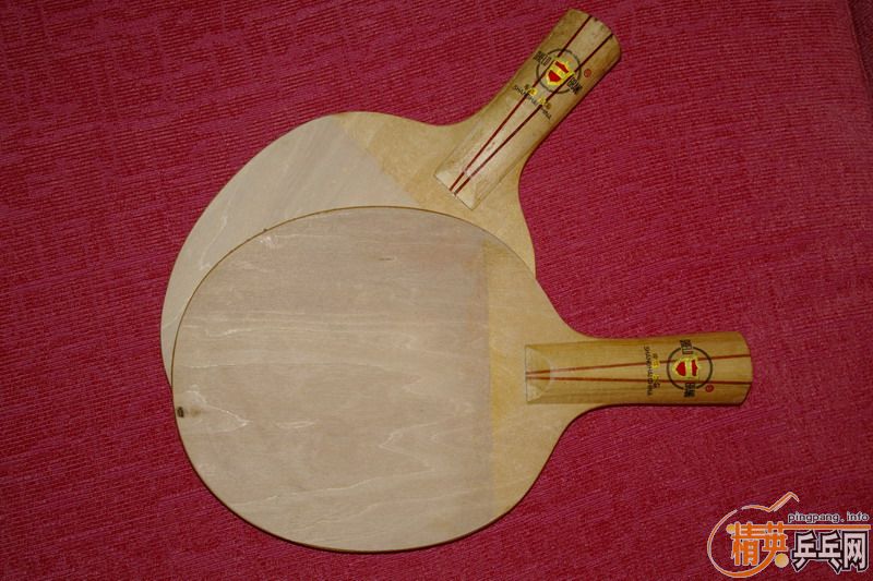 �������ϵĶ��ƺ���