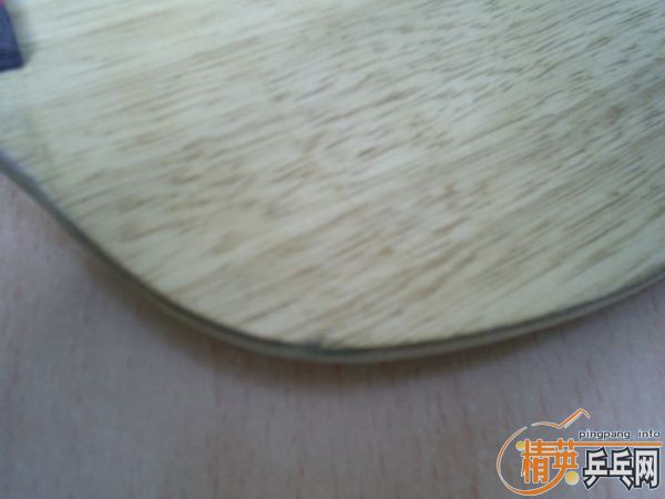 Nittaku��̼  ����  ����Viva   ����  �۸�����