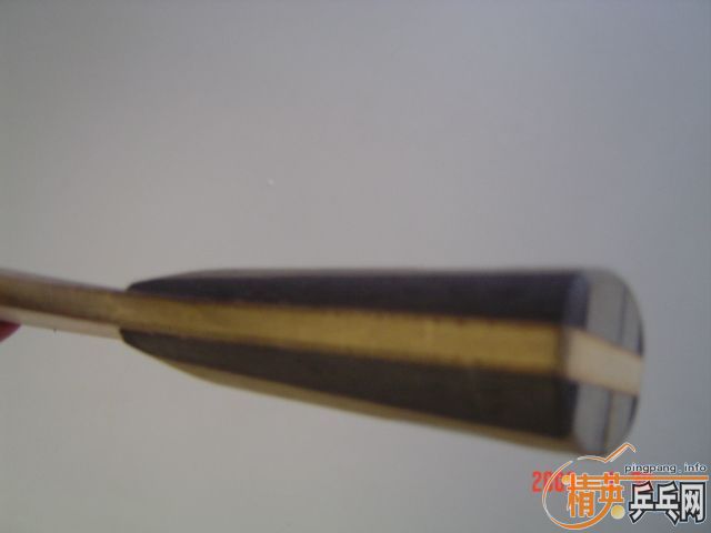 ���ͼ�299����̼��ˬ����������Ϳ���ף�