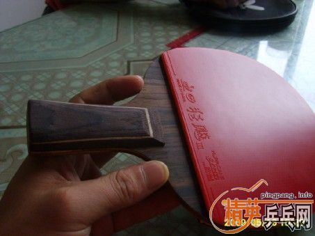 ��̴7��87�ˣ�������Σ��������1000.00��֧��֧������