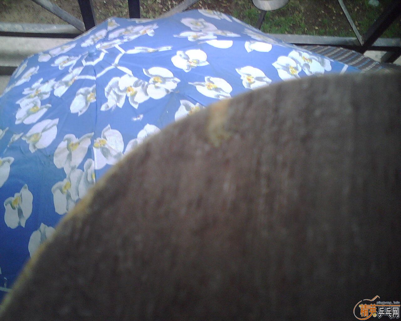 �������߻���07���� 08�����������꣩ ���fx