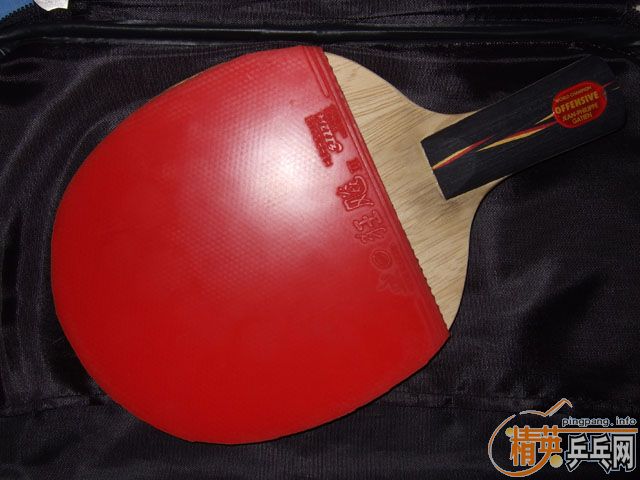 ����yasaka���л�9.5��yo