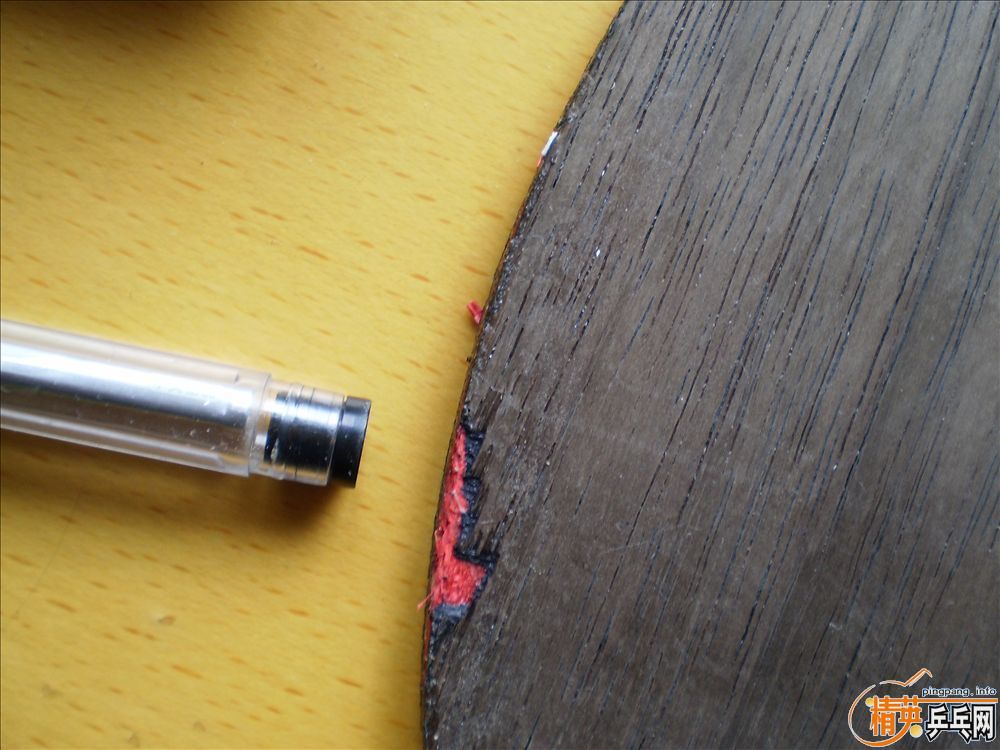 �����������ľʾ��ڼ�һ�ѽ�Ƥ(����ͼ��