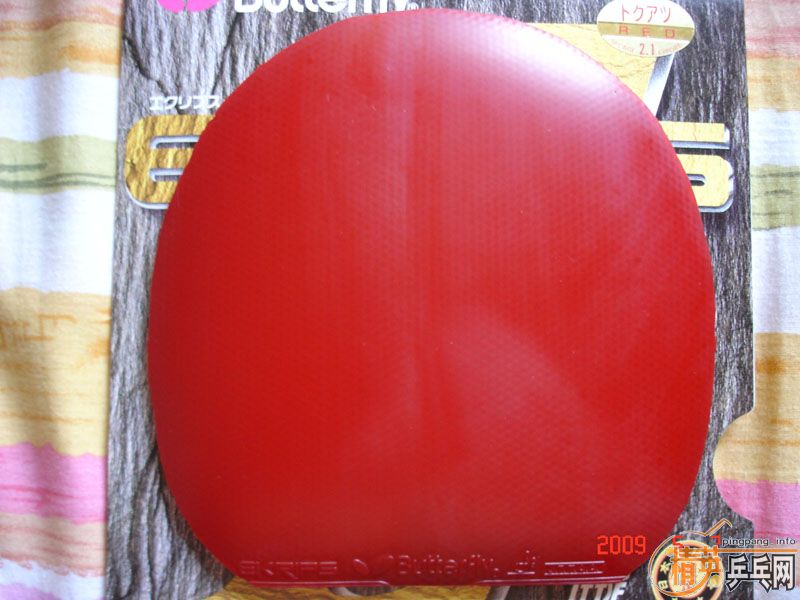 �����������ľʾ��ڼ�һ�ѽ�Ƥ(����ͼ��