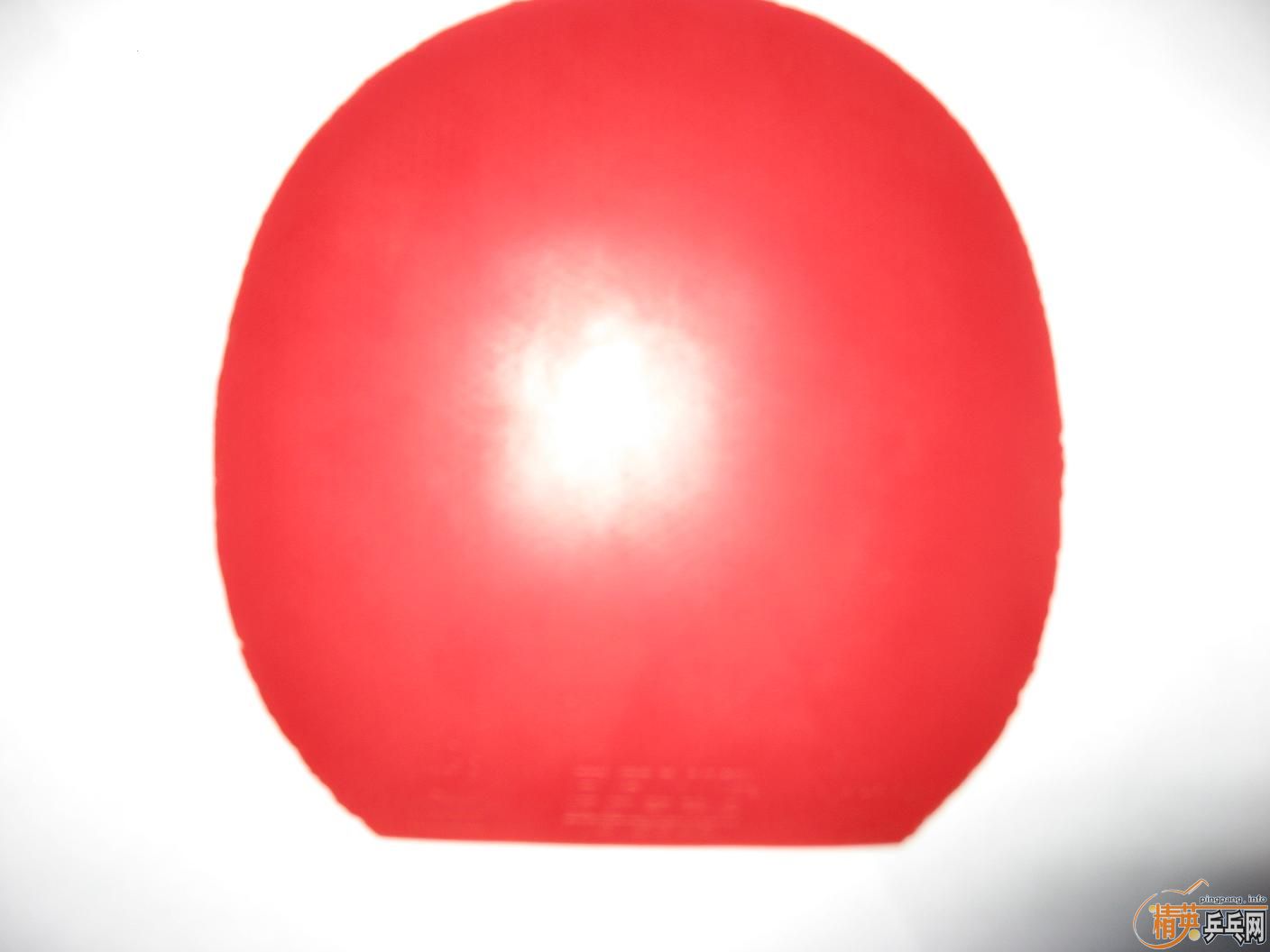 �ż۰��ѳ������