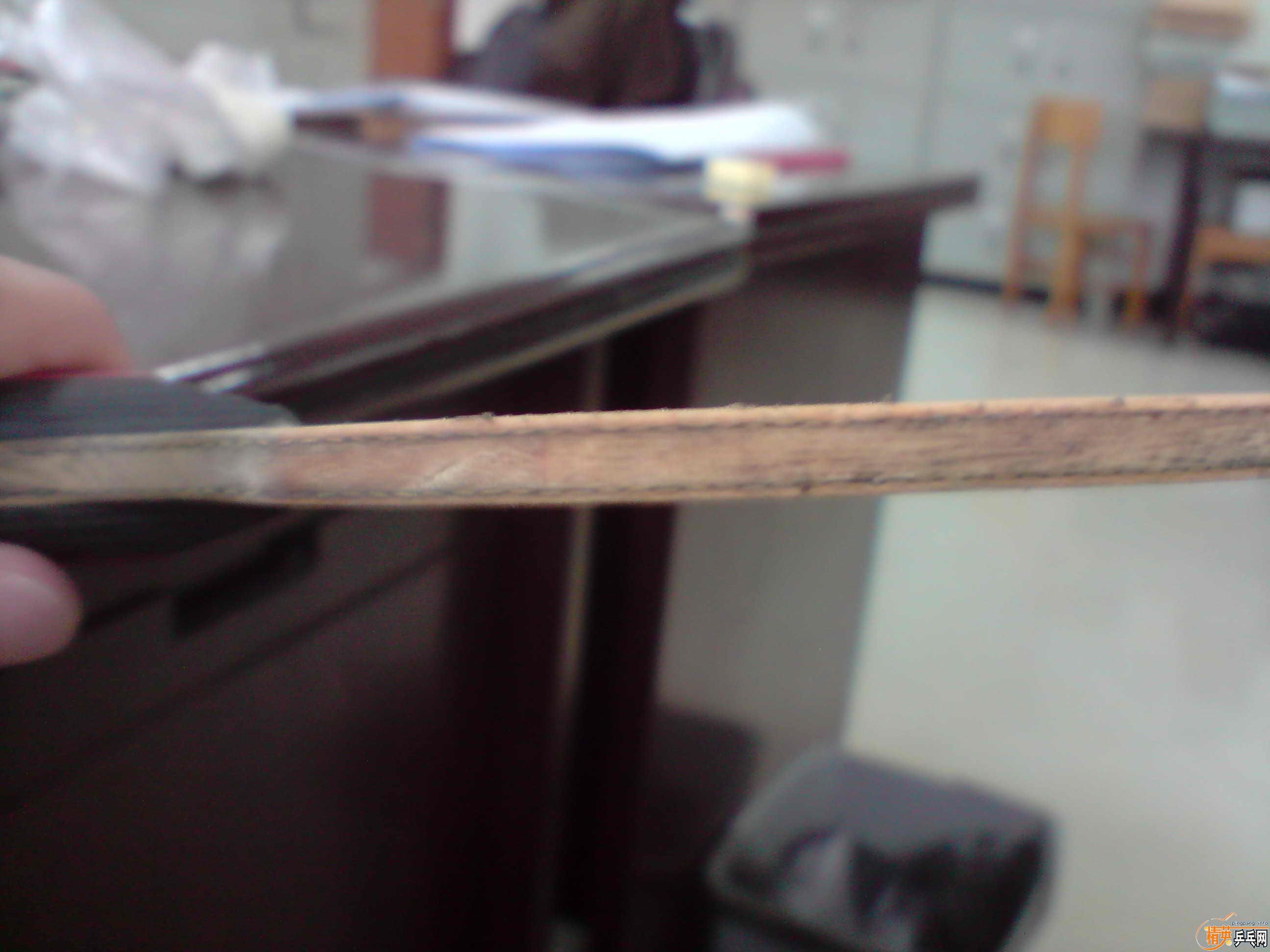 si��AMULTERT460Ԫ������