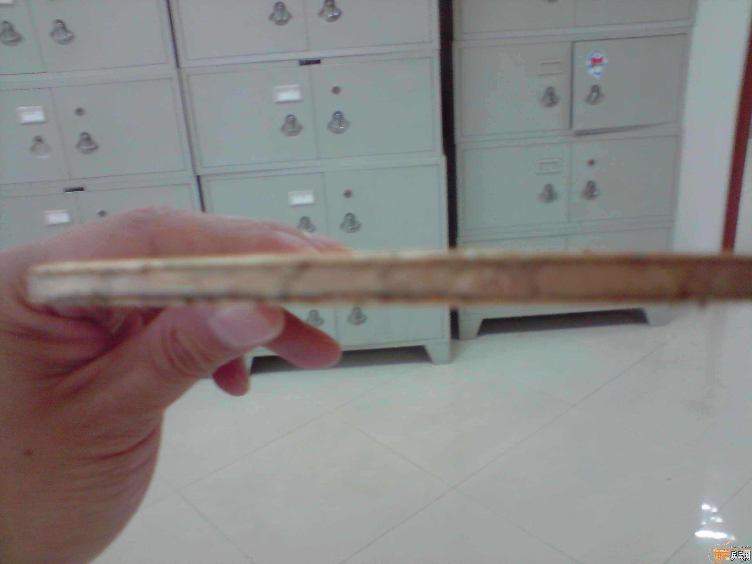 si��AMULTERT460Ԫ������