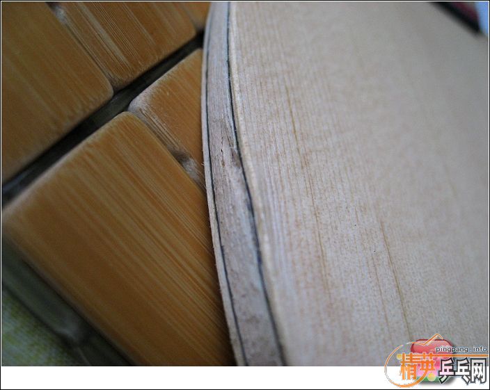 ��ʩ̼ fl�� 500Ԫ