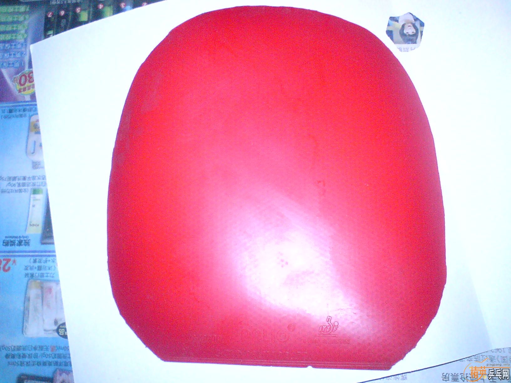 �������Ϻ���һ֧(�װ�+���׽���120����)