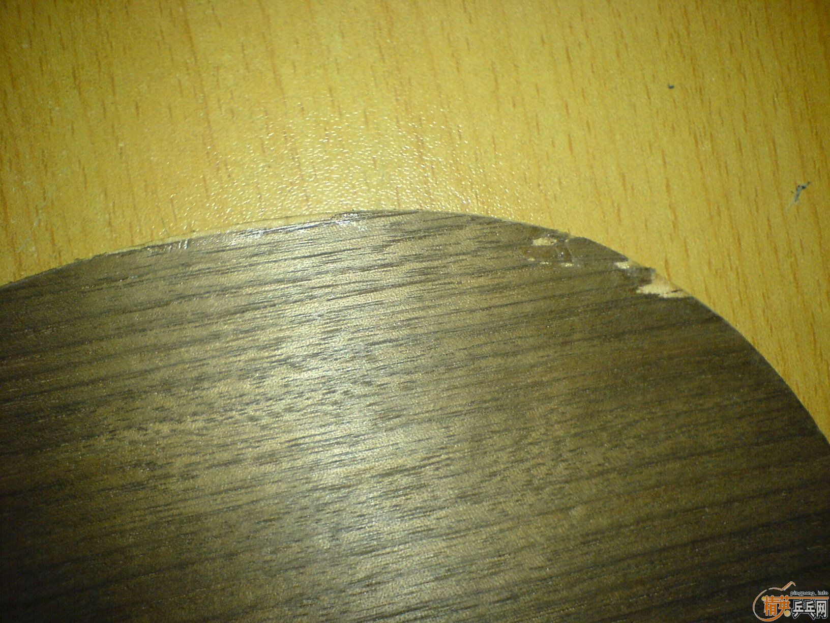 �ٴγ������ڹ�YEO��ֻ������