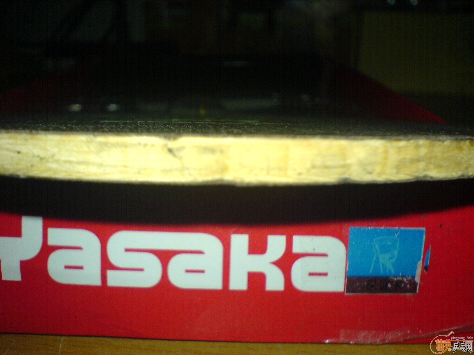 �ٴγ������ڹ�YEO��ֻ������