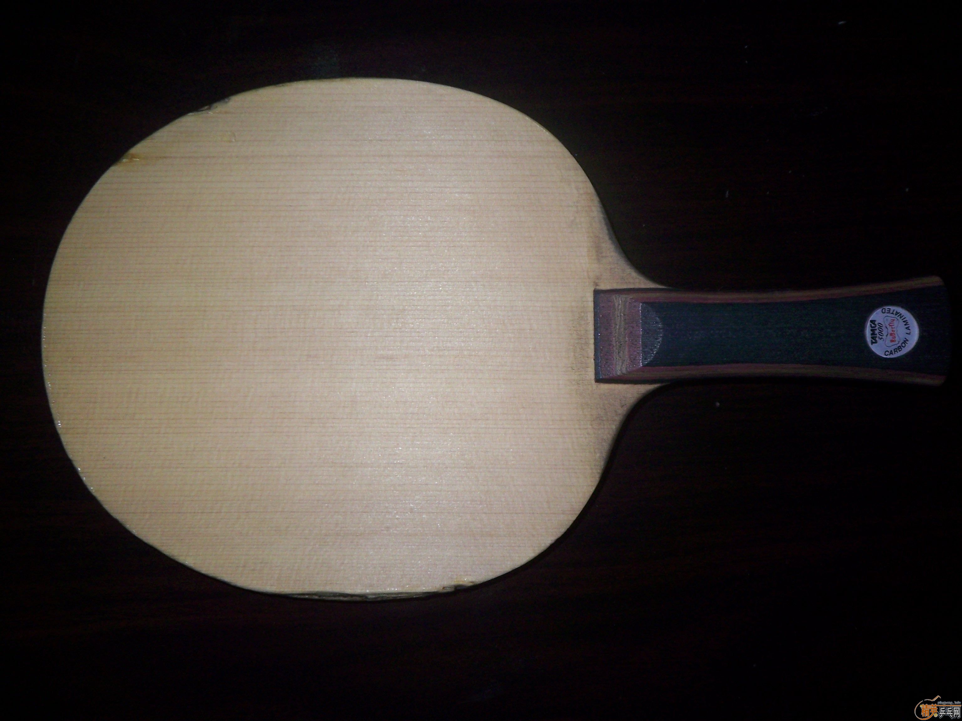 ʩ̼ 300 ����