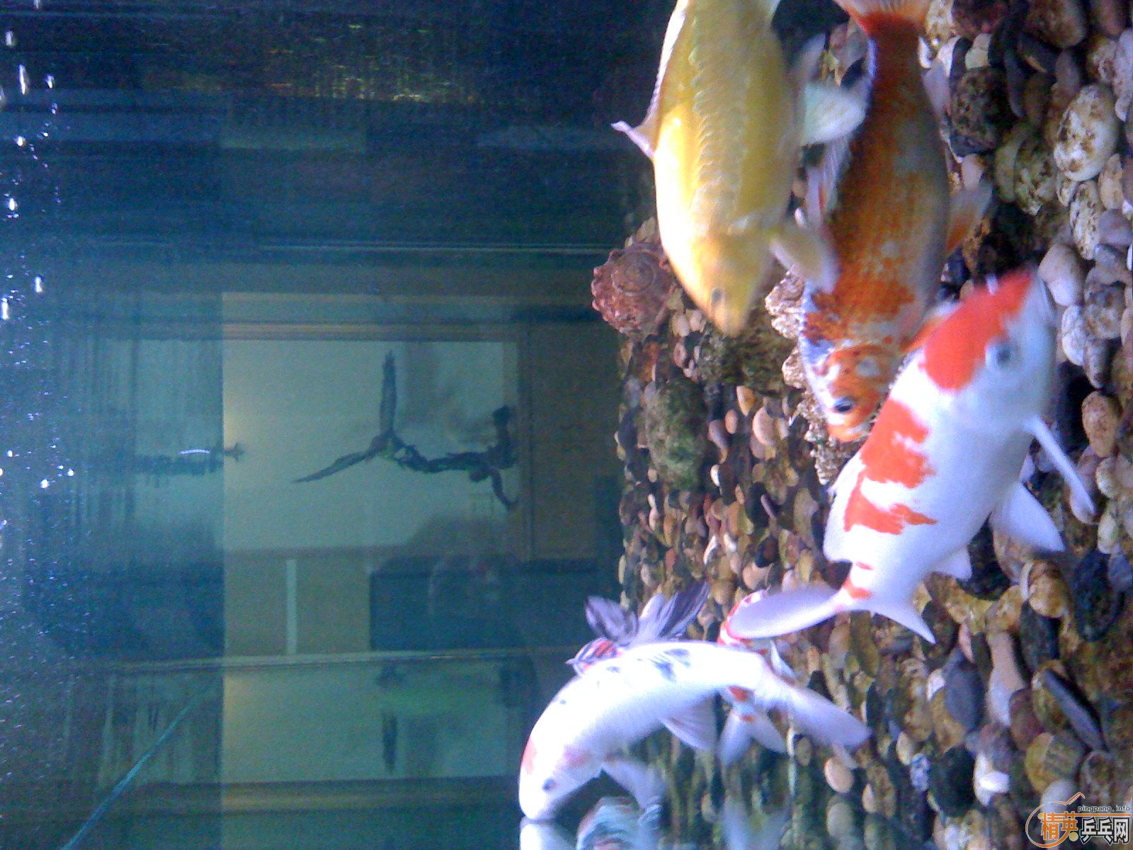 [��ͼ]��ͼָ��