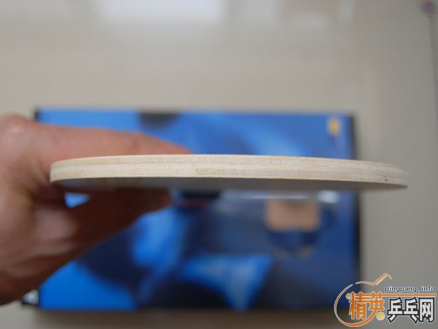 �������BANDA Taurus ��� �ж�˹ ��ţ�� ��� FL 240����