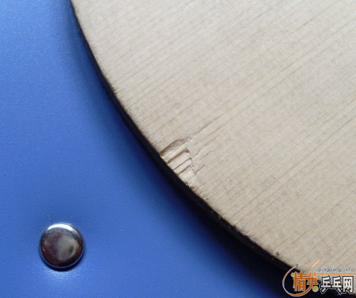 ����������̼!