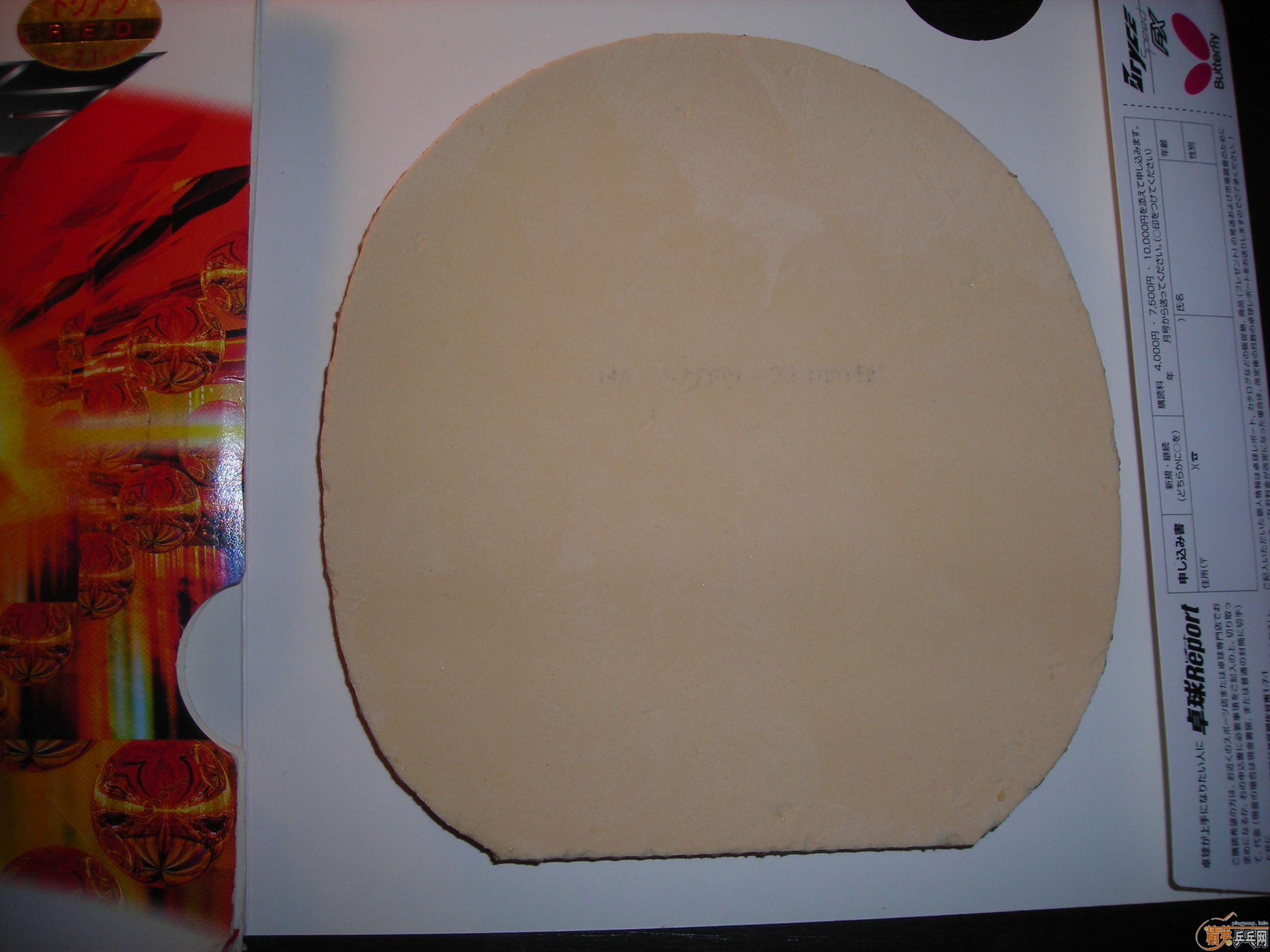 �����ۼ�����BRYCE FX��G3������2��T25���켫3��729-08