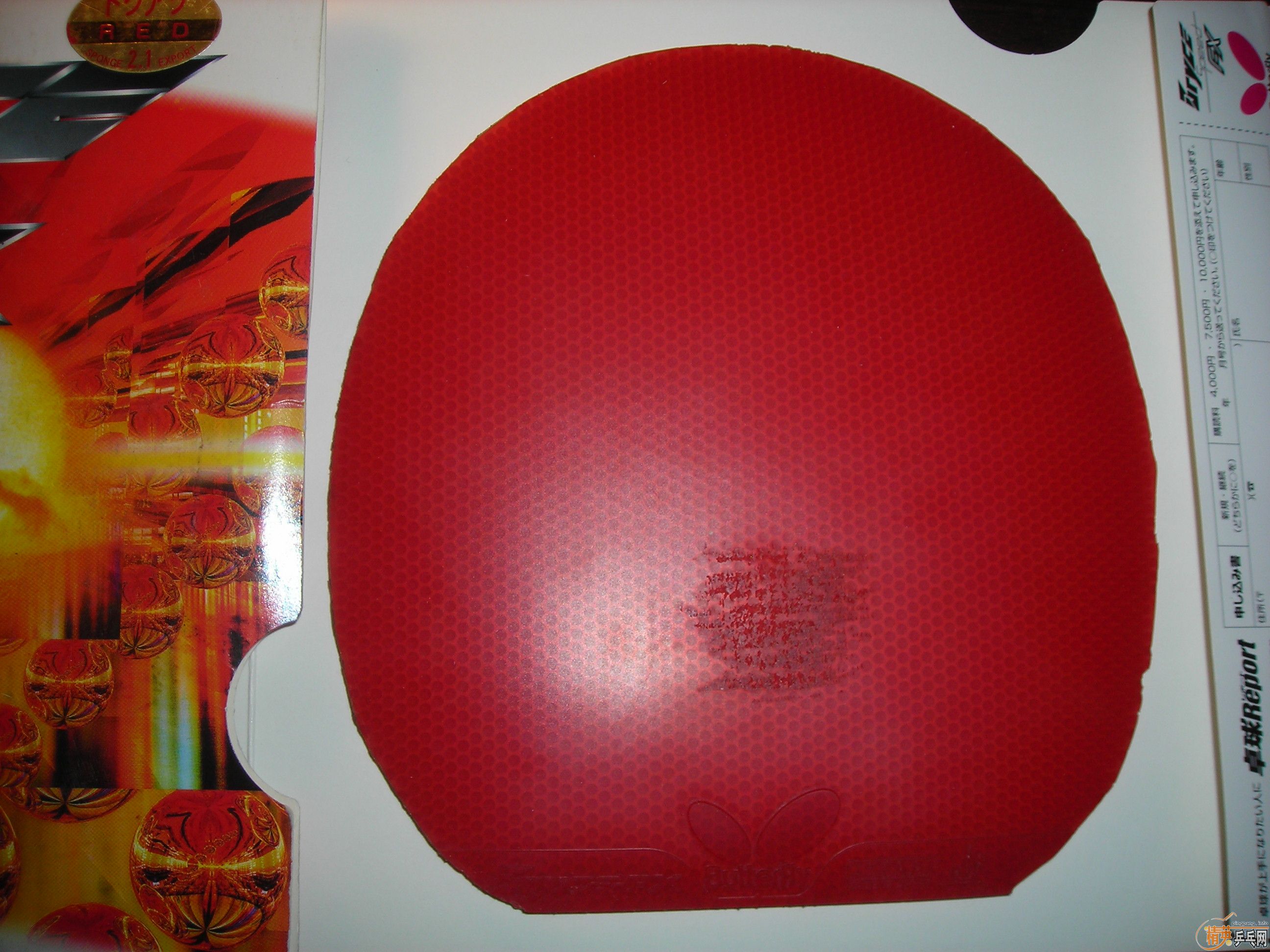 �����ۼ�����BRYCE FX��G3������2��T25���켫3��729-08