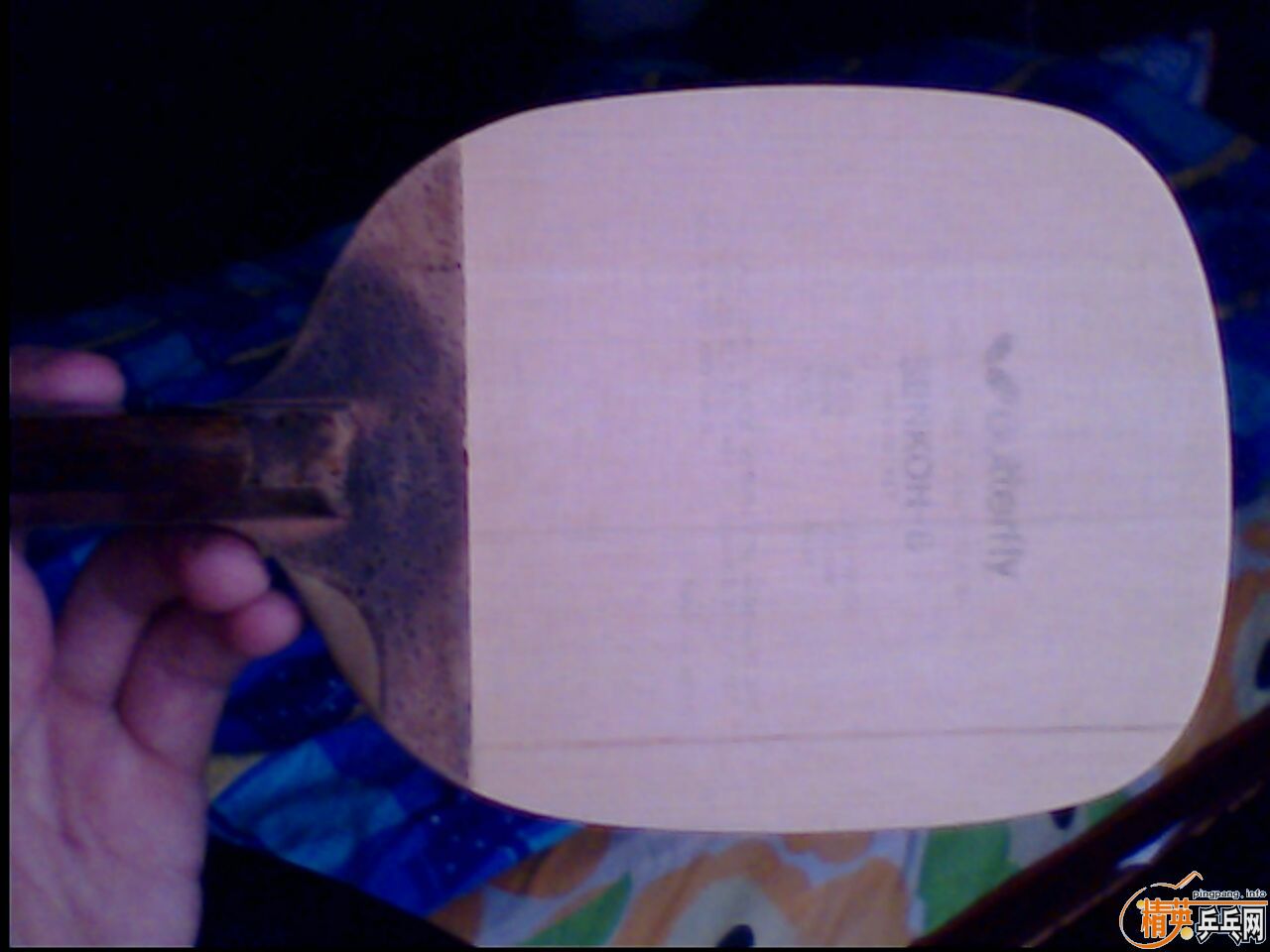 260���ʳ� ��������8 ����Ҳ��