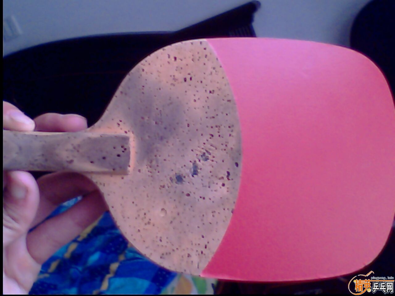 260���ʳ� ��������8 ����Ҳ��