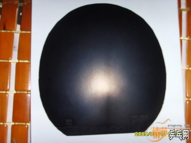 ���ź���һ��ROXON 500PRO