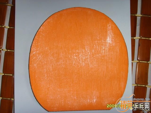 ���ź���һ��ROXON 500PRO