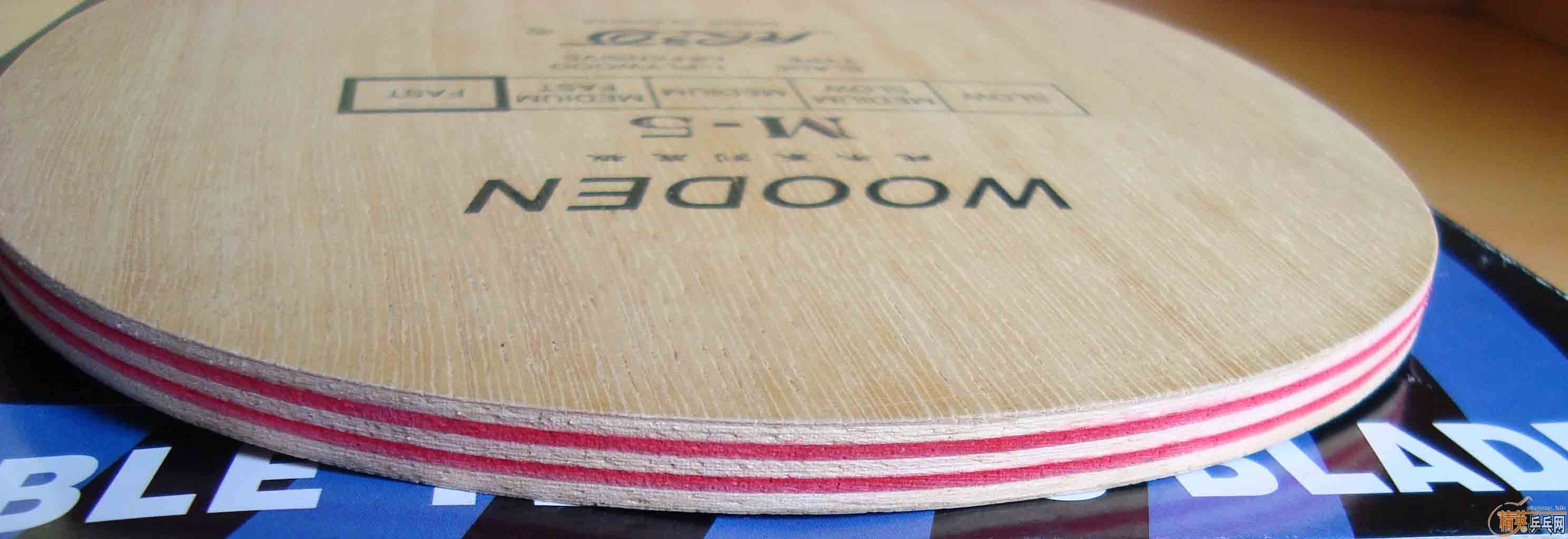 ��֧��֧���������������ϰ汾��M5���