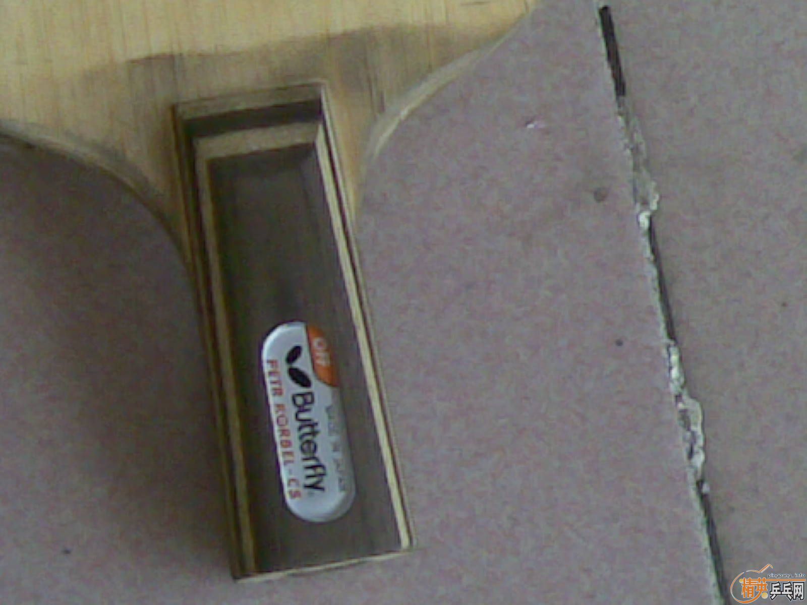 �Ʊ�������YEO