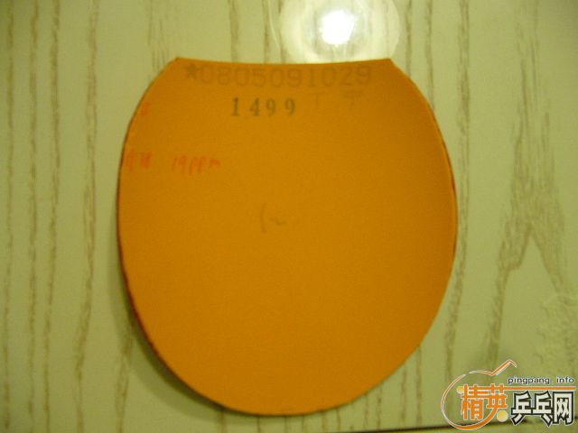 �����������׽�