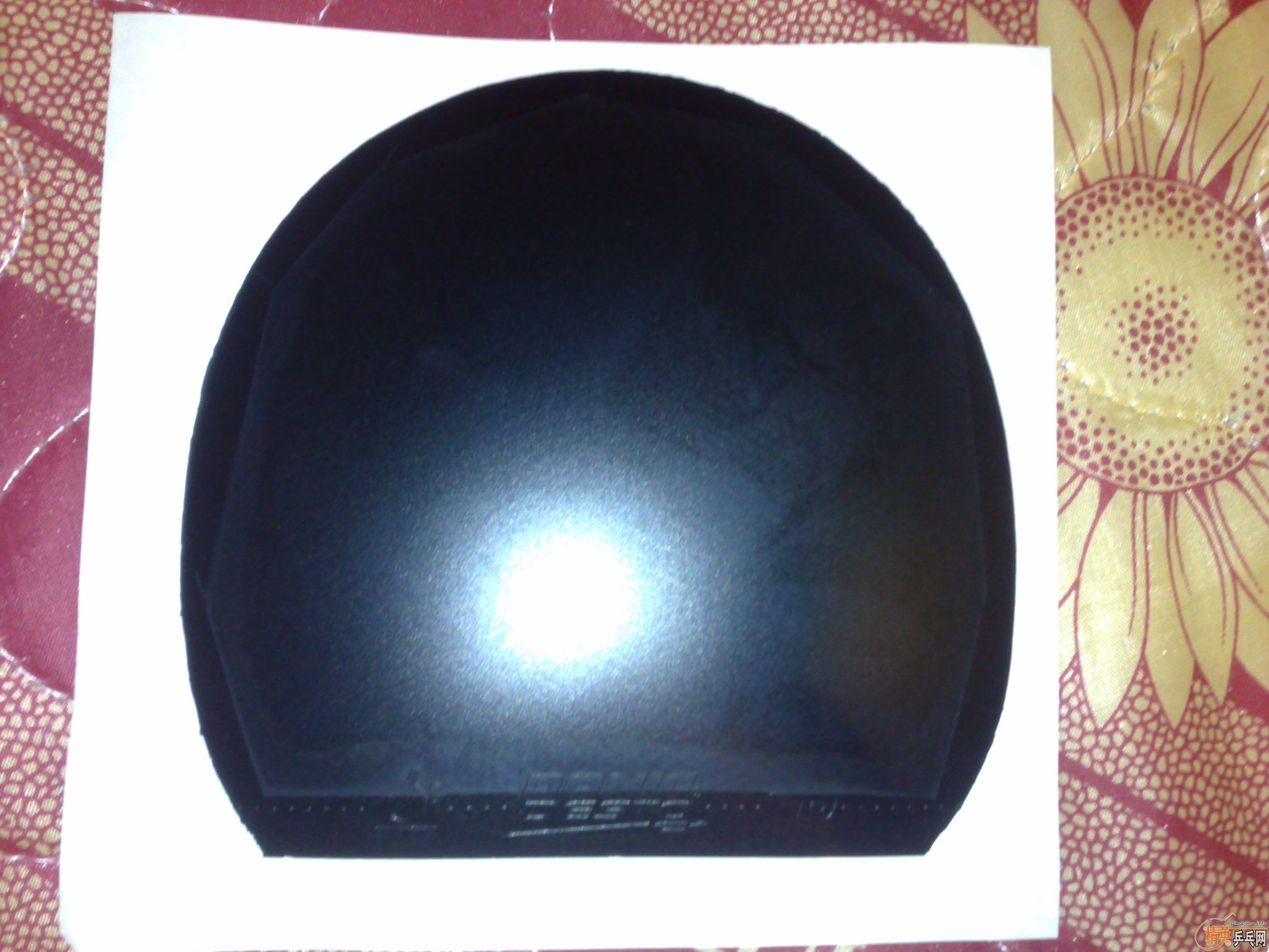 �����º�ɫF1