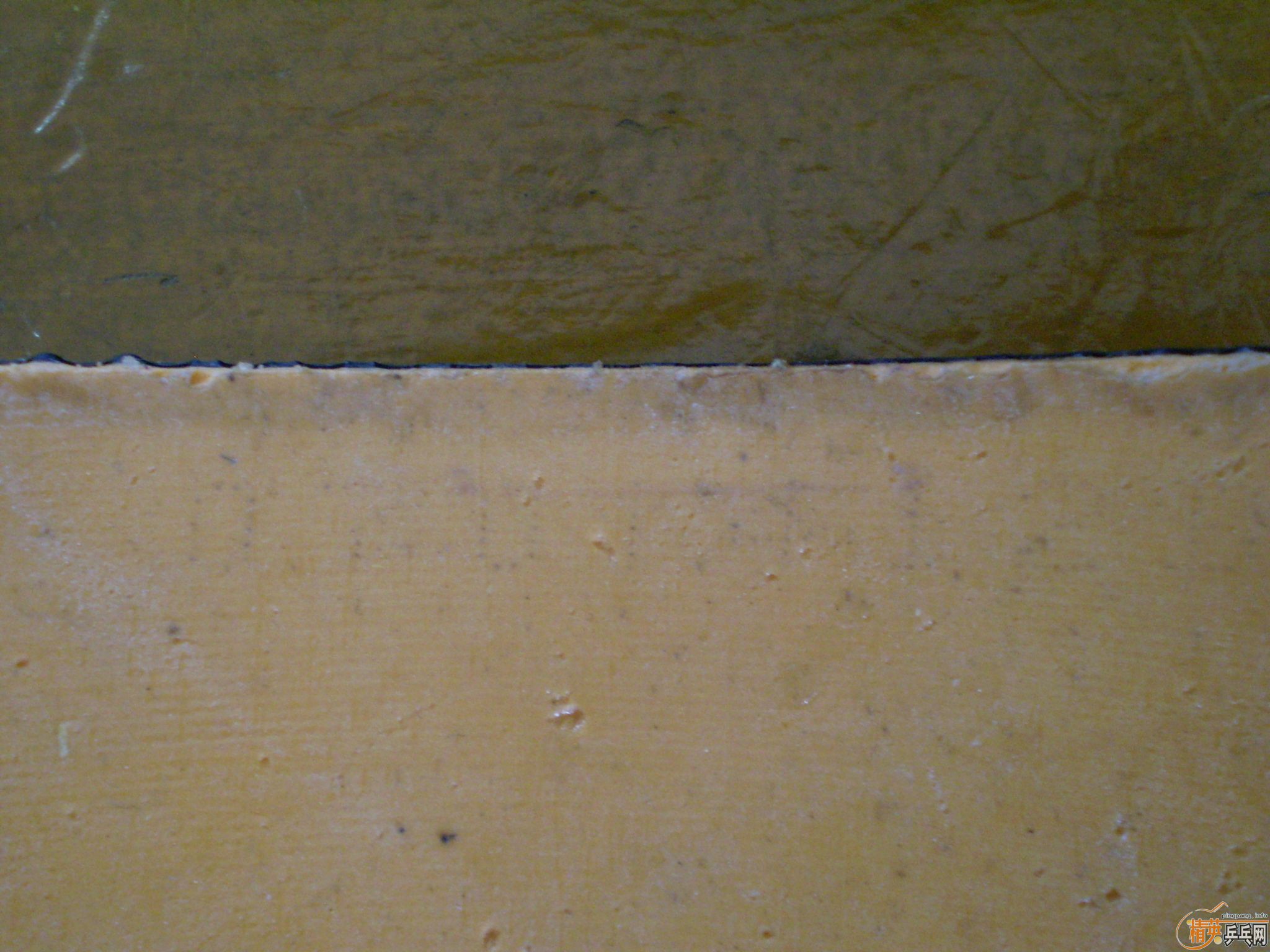 [ע��]��ֻ��һ���������������������׽����켫3�����2��G666��999�������