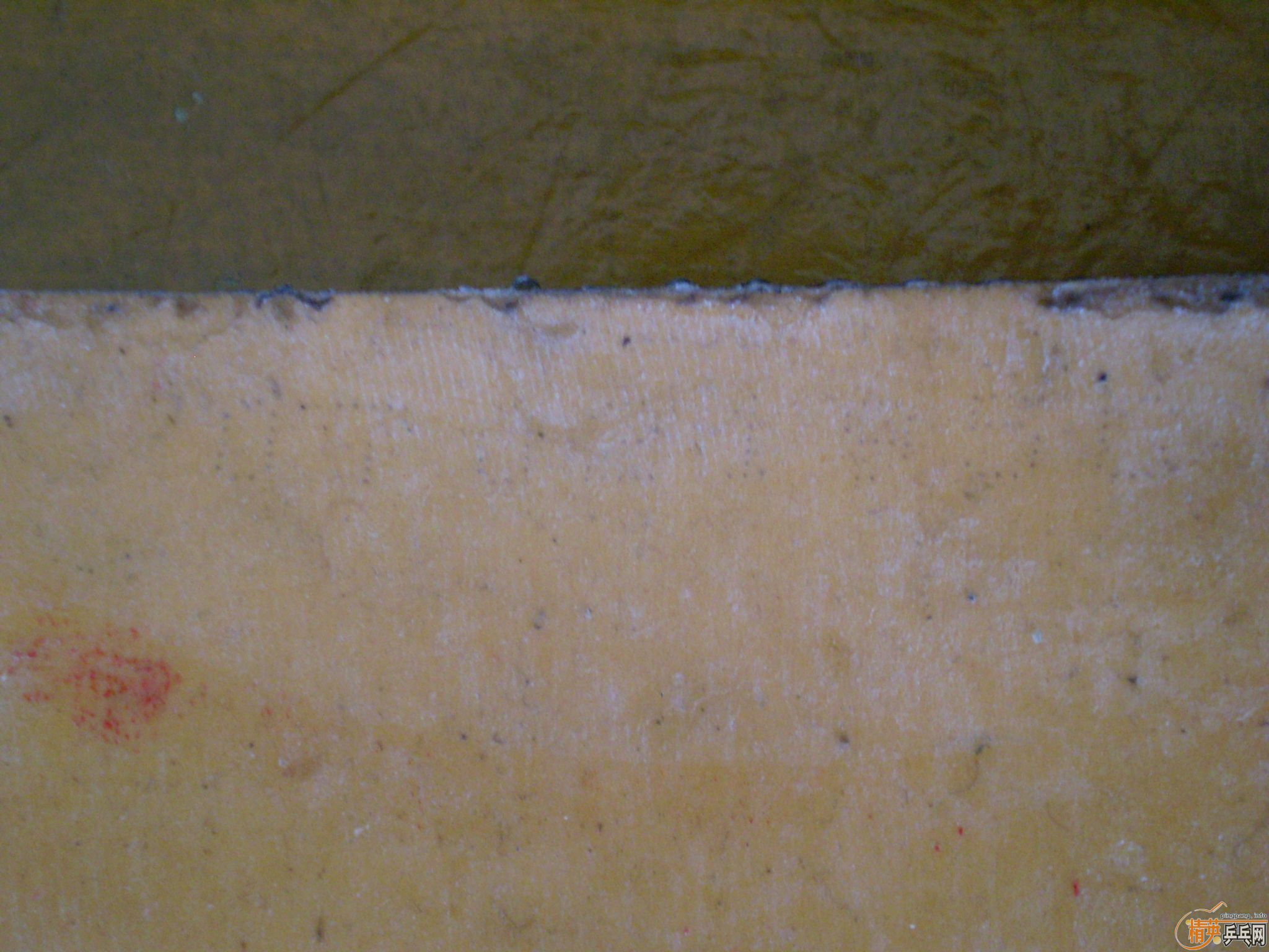 [ע��]��ֻ��һ���������������������׽����켫3�����2��G666��999�������