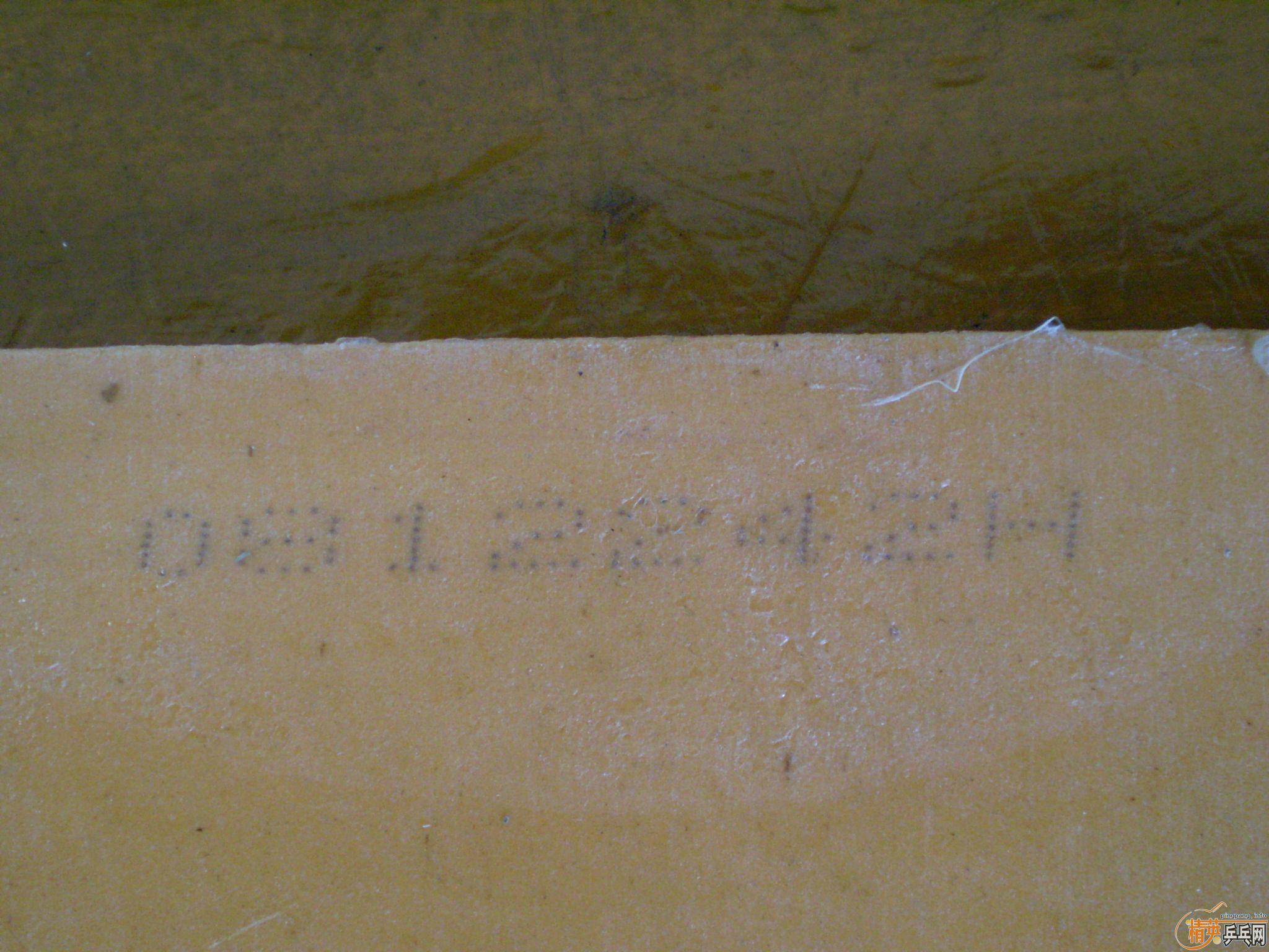 [ע��]��ֻ��һ���������������������׽����켫3�����2��G666��999�������