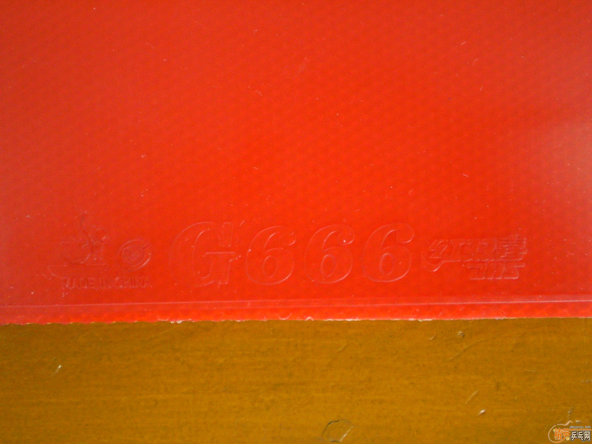 [ע��]��ֻ��һ���������������������׽����켫3�����2��G666��999�������