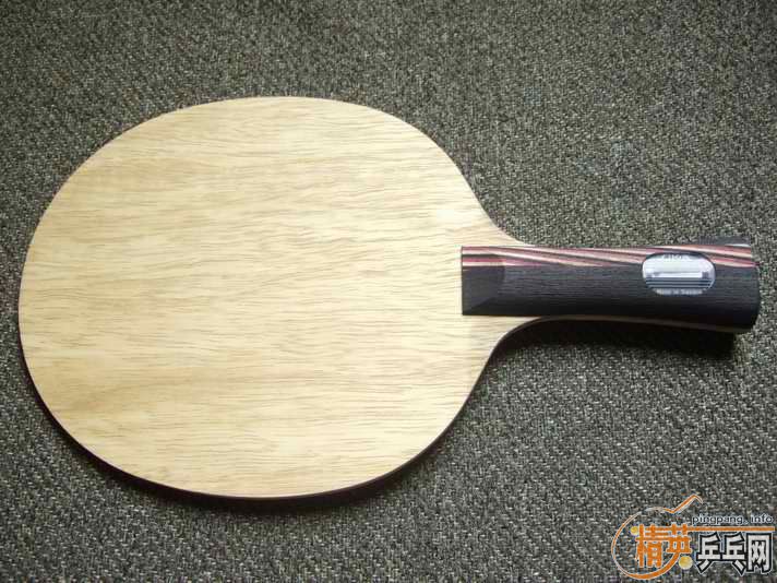 master��˹̼�� 310 ����