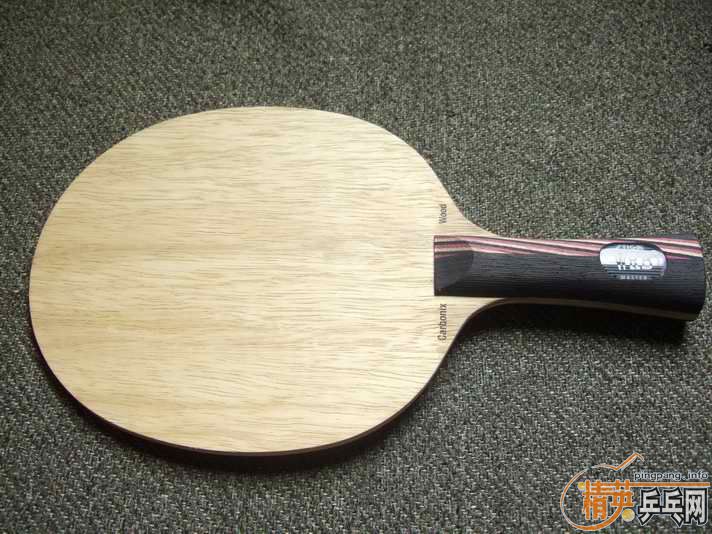 master��˹̼�� 310 ����