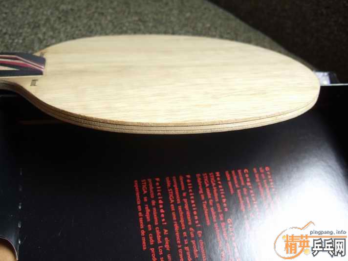 master��˹̼�� 310 ����