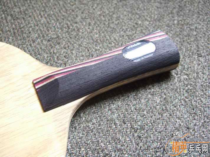 master��˹̼�� 310 ����