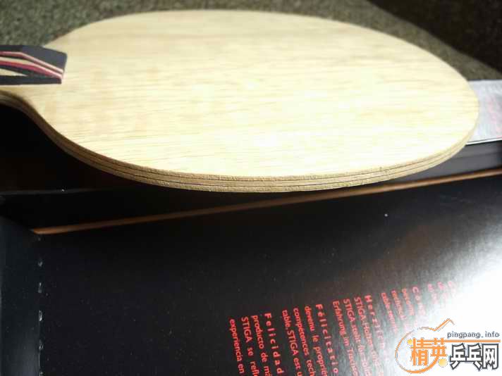 master��˹̼�� 310 ����