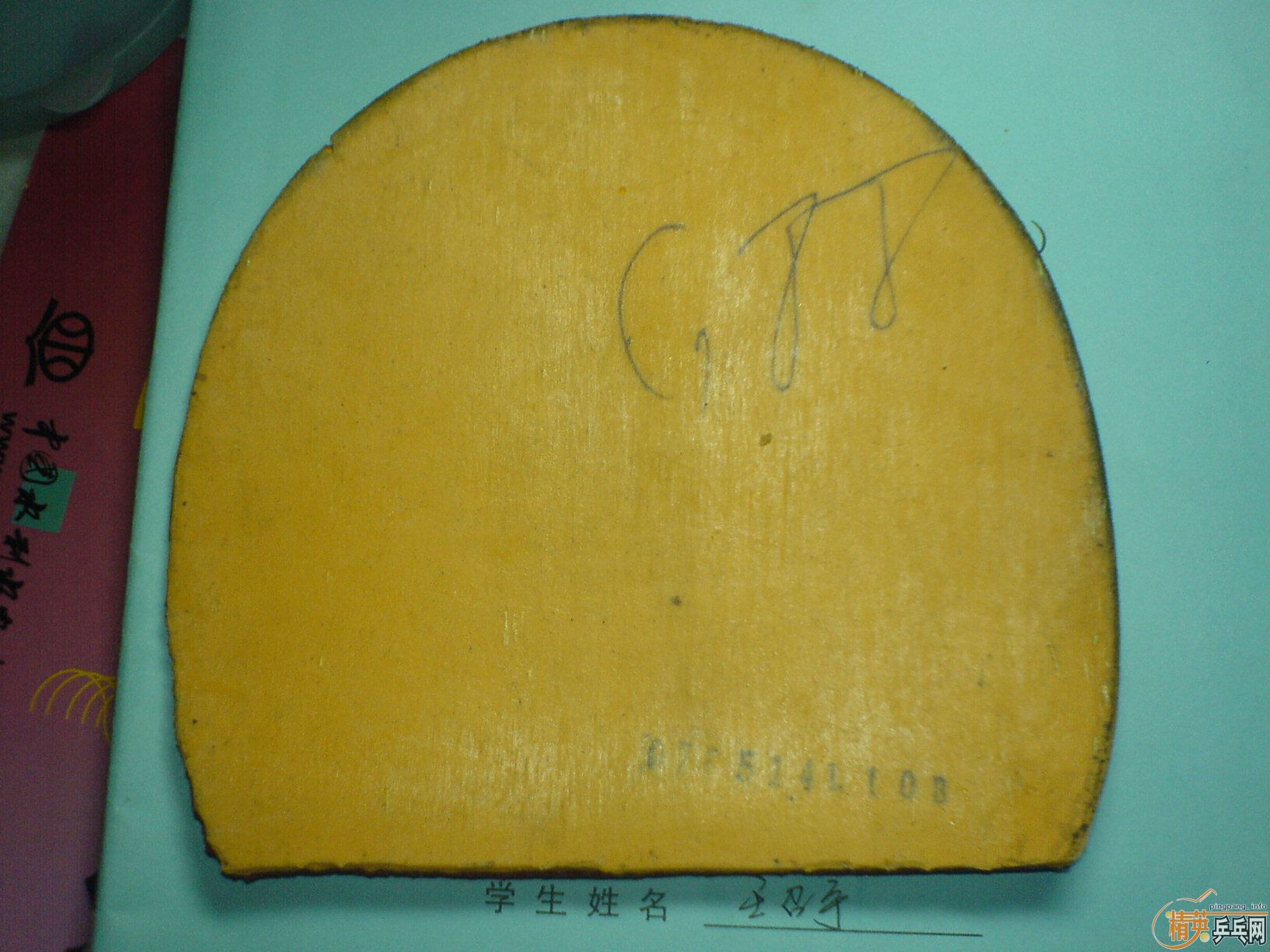 60�����729����4����������AGIMO ����˫ϲG888���飬��֧����