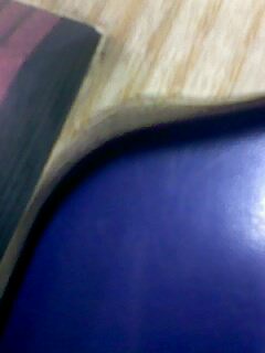 ��������С����