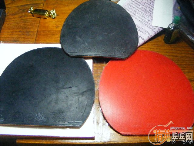 �л� FL��̼  9��