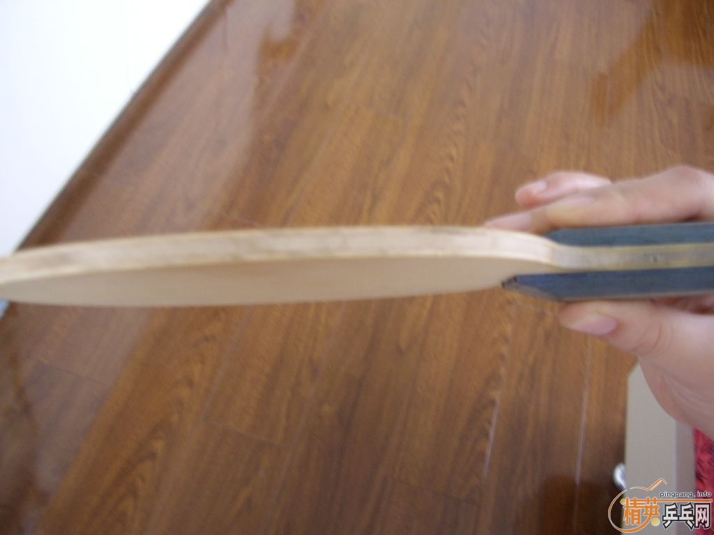 ���ѳ����paliao GA  ST