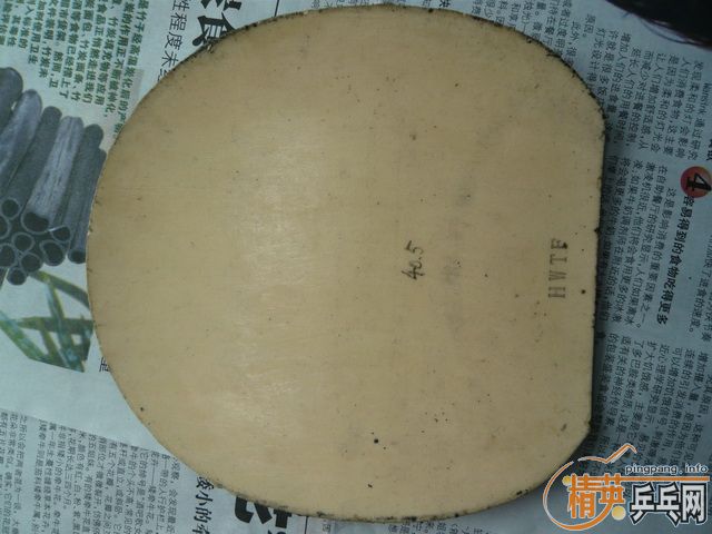 DONIC�׽���������