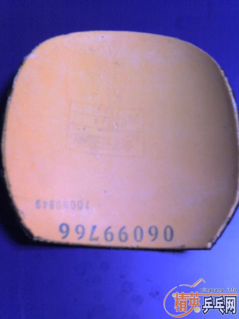 �󹺶���ƹ������������