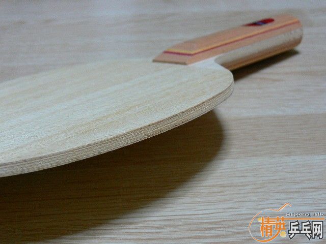    P500 ( Nittaku Avalox P500 )  1Сʱ