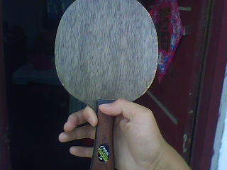 �����ܻ���ʲô��������