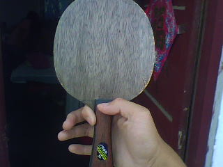 �����ܻ���ʲô��������