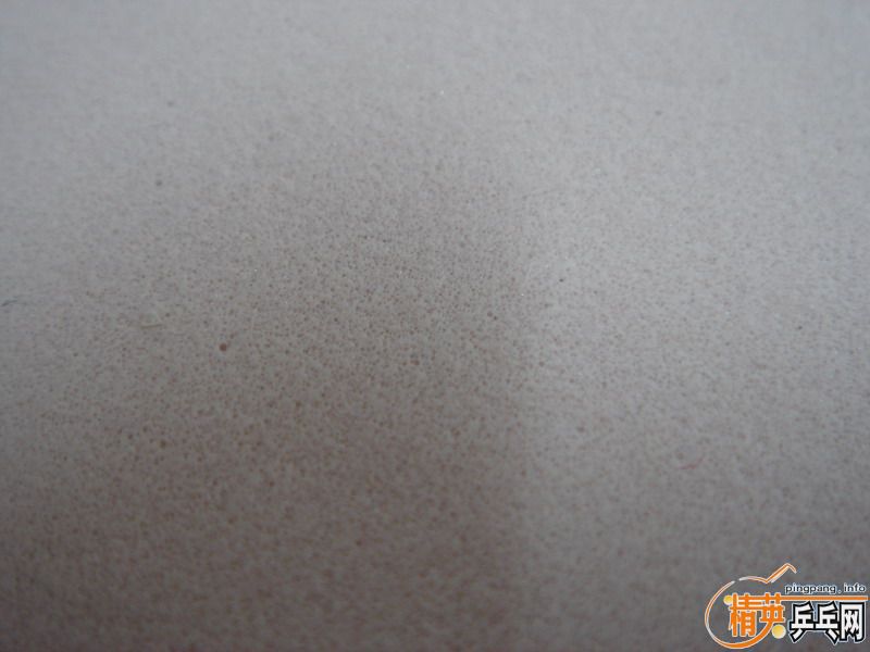 7Q489F41.jpg