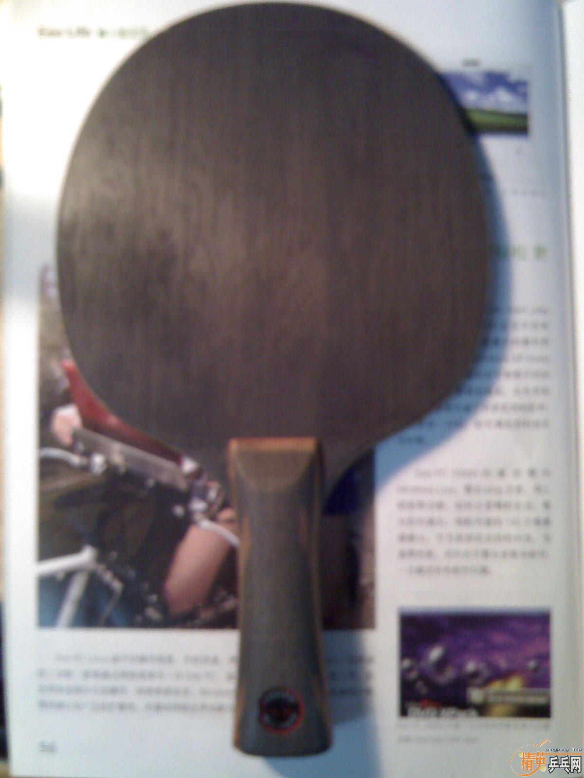 ������Ƥ����˺�ɫ����~150