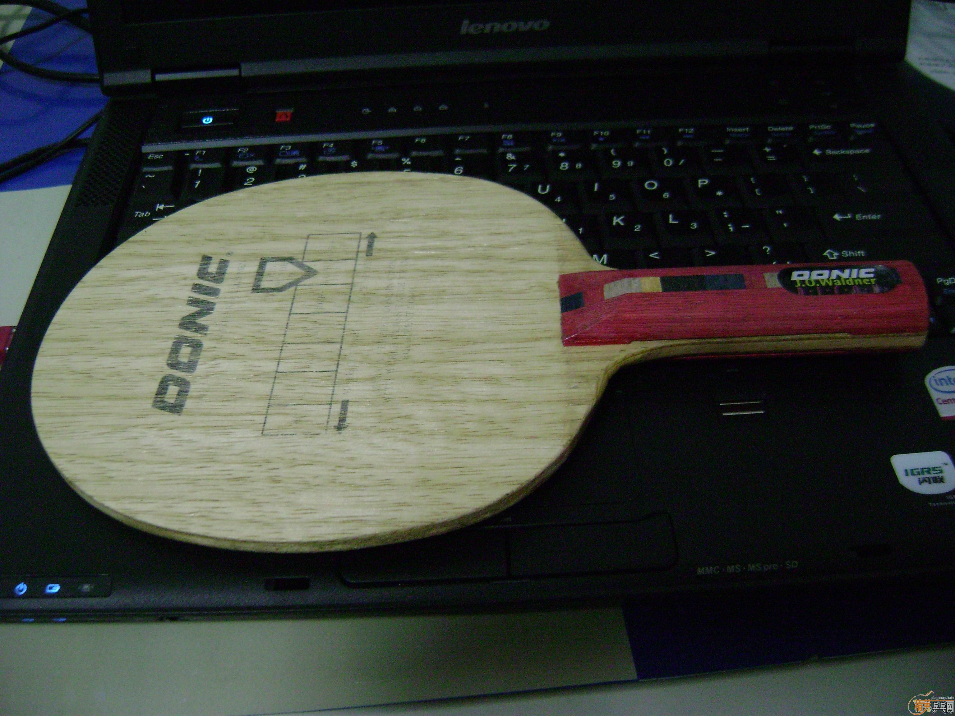 �����DONIC��ľ��ST�ֱ���OC��CL